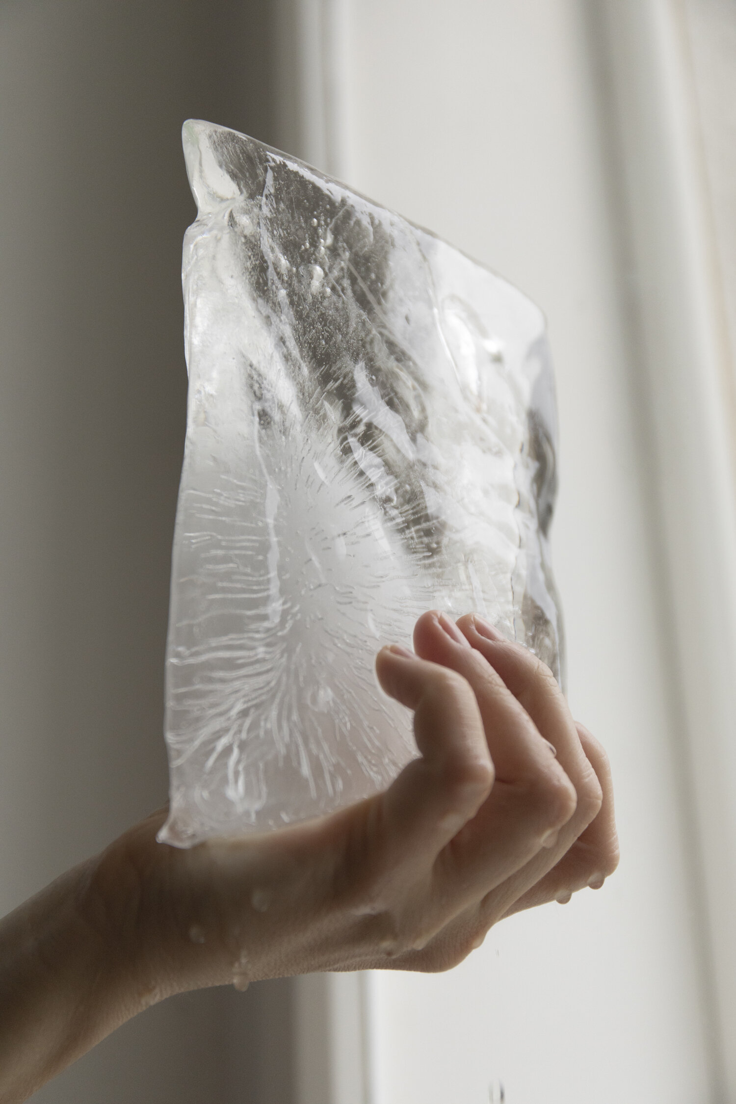  Careful Collecting, 2021  Photography by Marie Haefner 