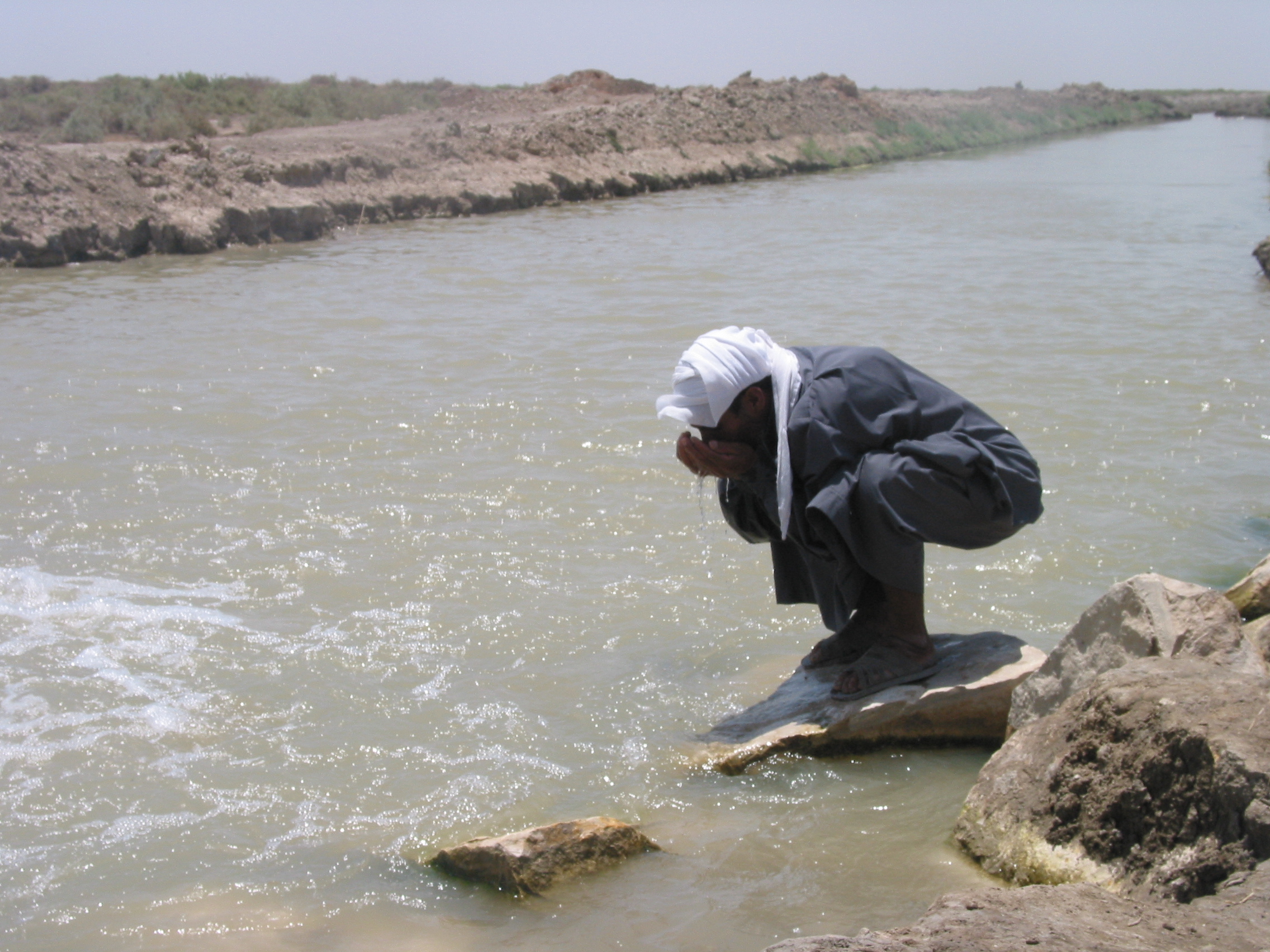 A Marsh Arab drinks from a replenished tributary in Iraq's southern wetlands.