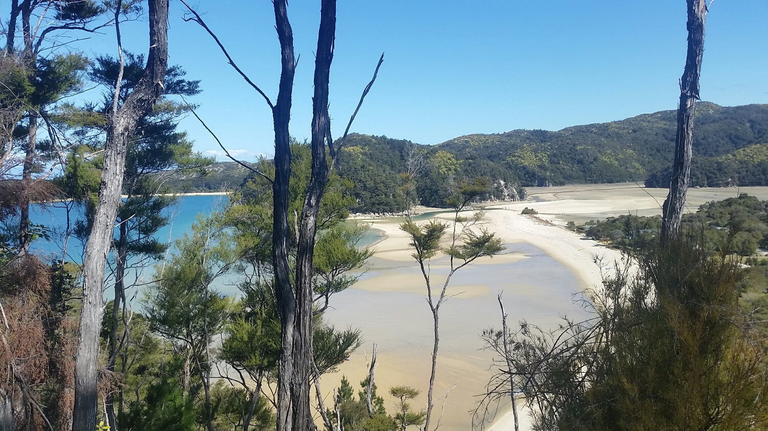 Example of the extreme tides of Abel Tasman coastline