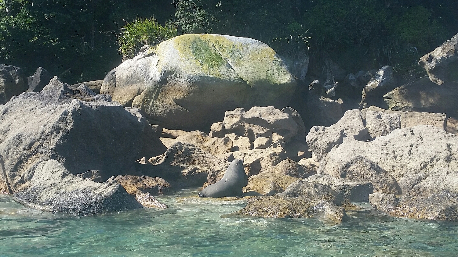 seal!