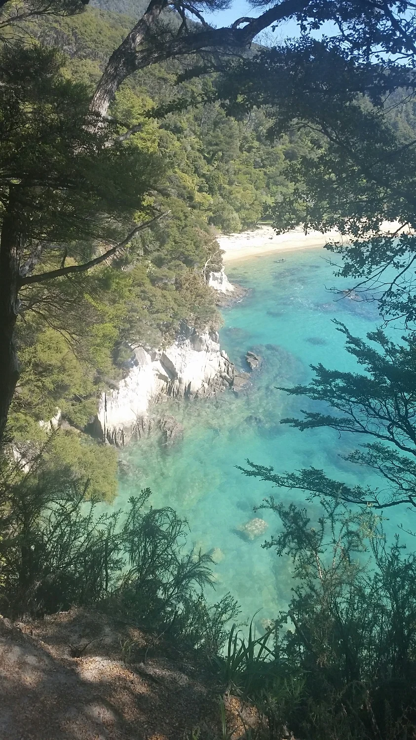 Crystal clear waters of New Zealand