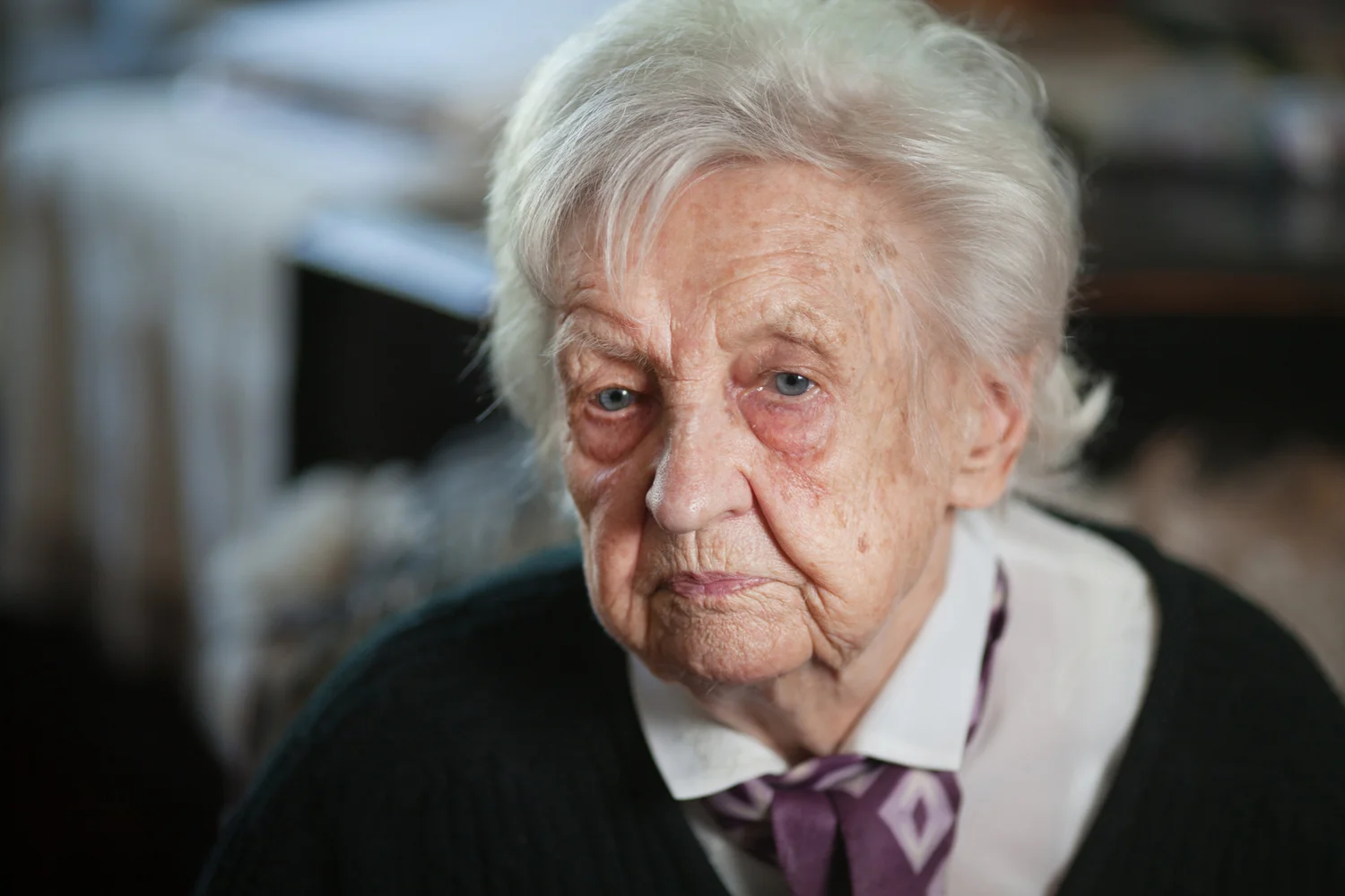 Meet the Women of Ravensbrück — Saving the Rabbits of Ravensbrück