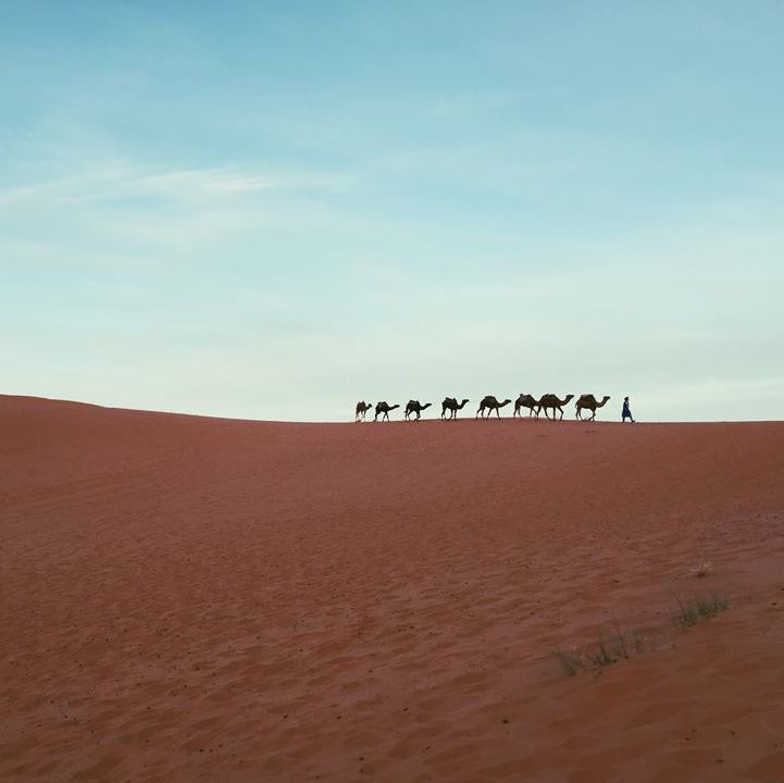 Sahara Desert