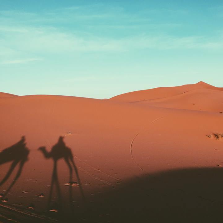 Sahara Desert