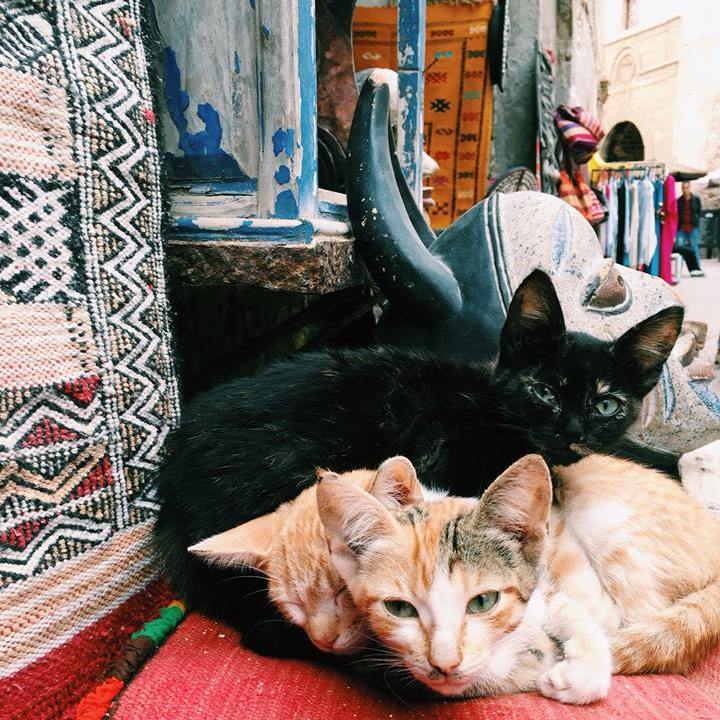Essaouira