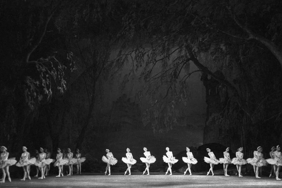 swanlakemain.jpg