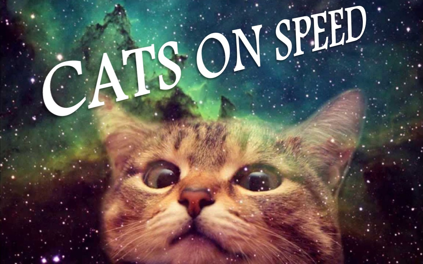 Is there anything beyond the Pale Red Dot? How could we even know? Cats on Speed ponders these questions and more in this two-person show inspired by first hand experience with the struggle to balance play and sleep. With unparalleled fervor, Cats on Speed zig-zags through wondrous worlds that channel the waking kitten inside us all.