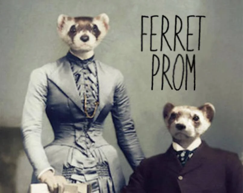 Ferret Prom.jpg