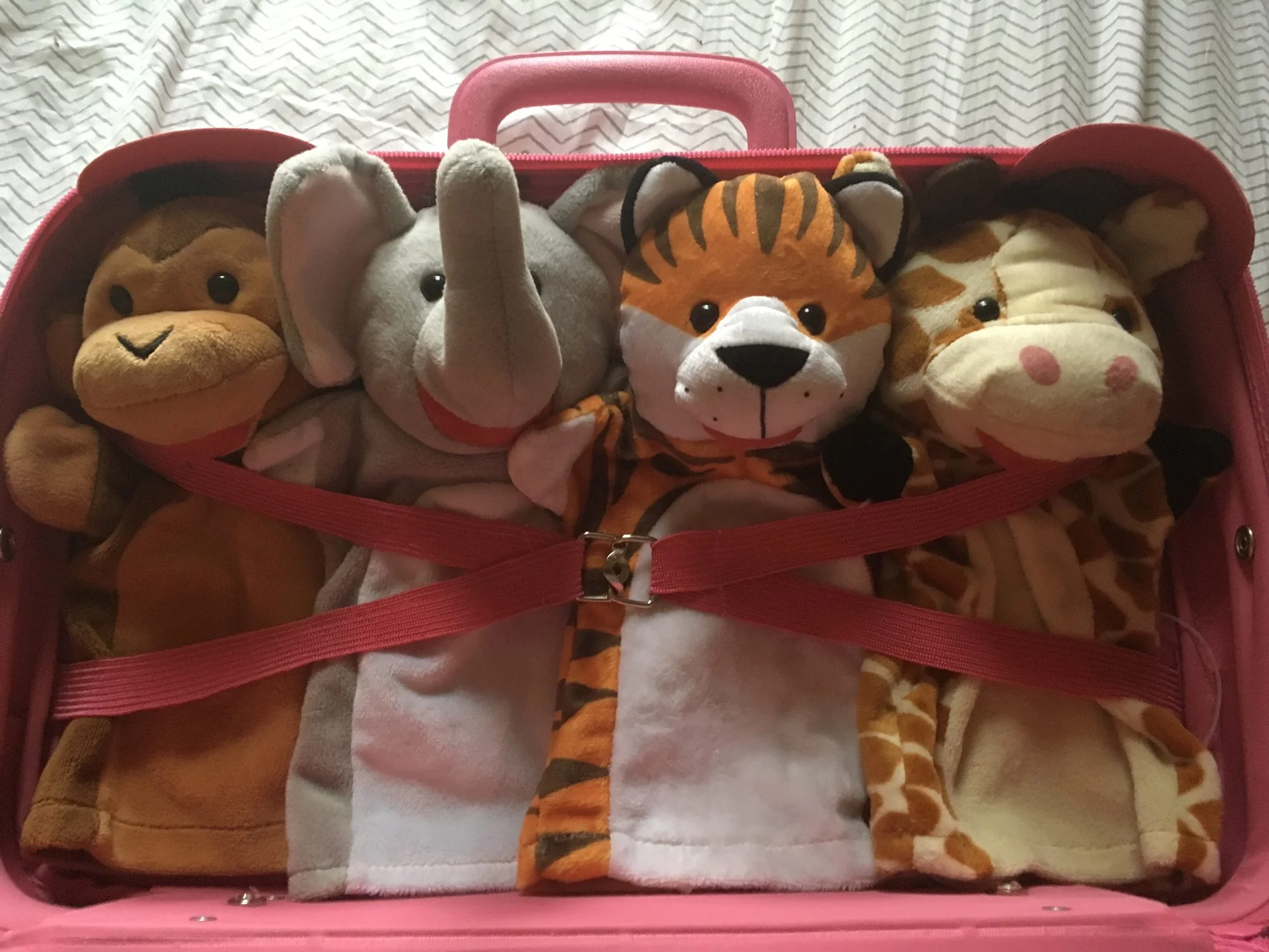 We’re puppets that do improv! Danni the tiger, Blake the giraffe, Jo the elephant, and me, Charlie the monkey! Come snuggle up with Snuggleupagus!