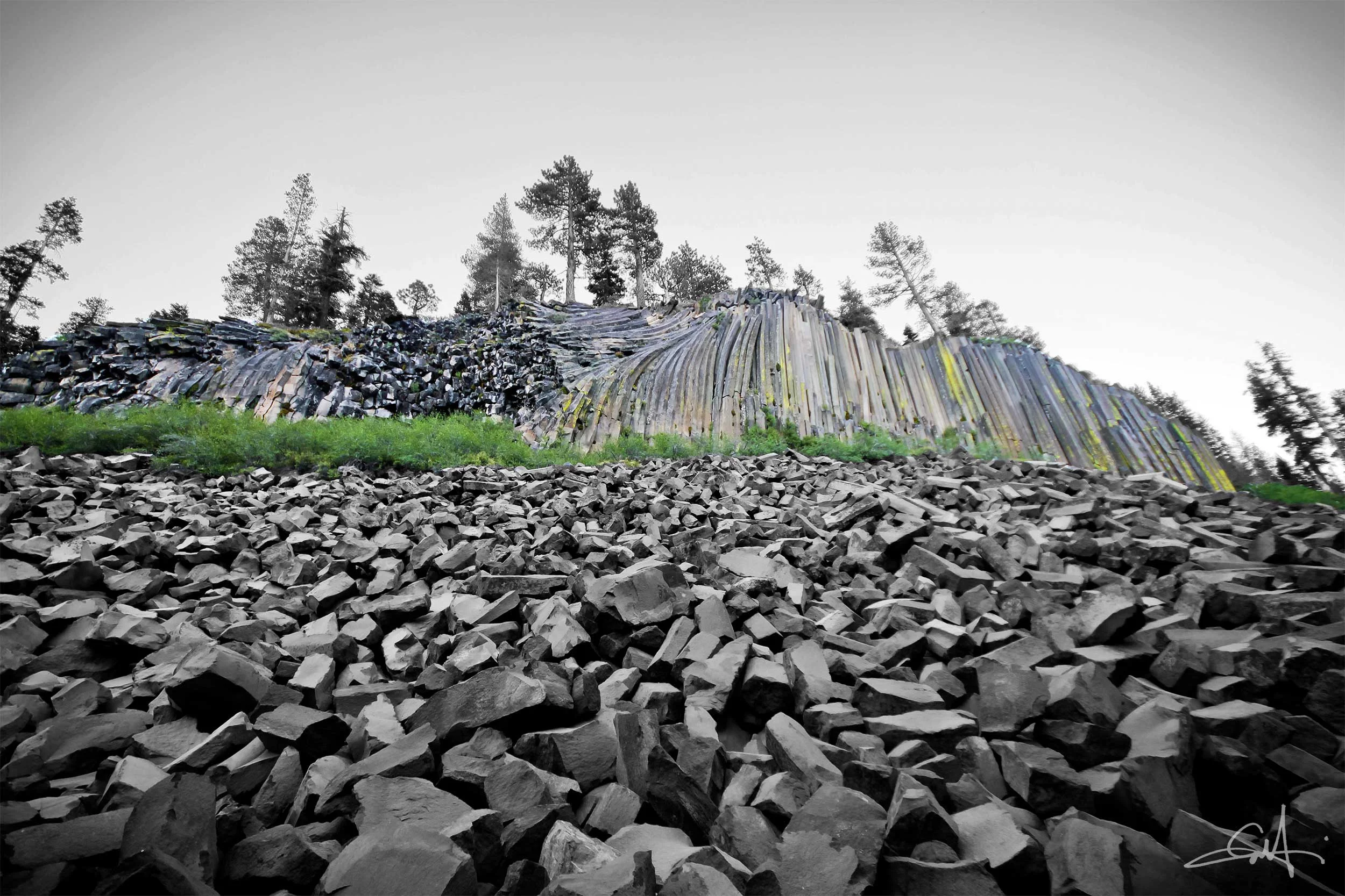 Mammoth-4-FINAL.jpg