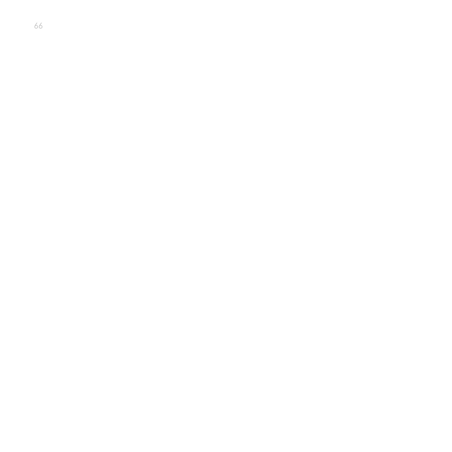 66.jpeg