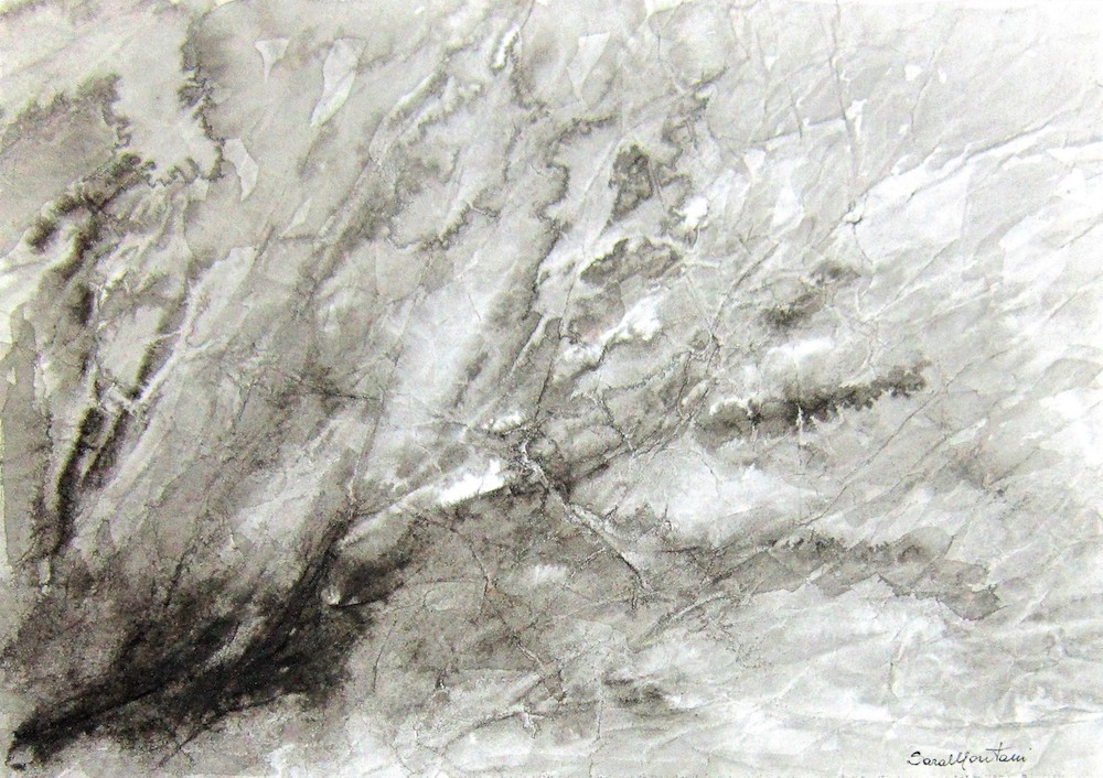 Una volta era albero - 1998, china e acquerello su carta, 35 x 50 cm