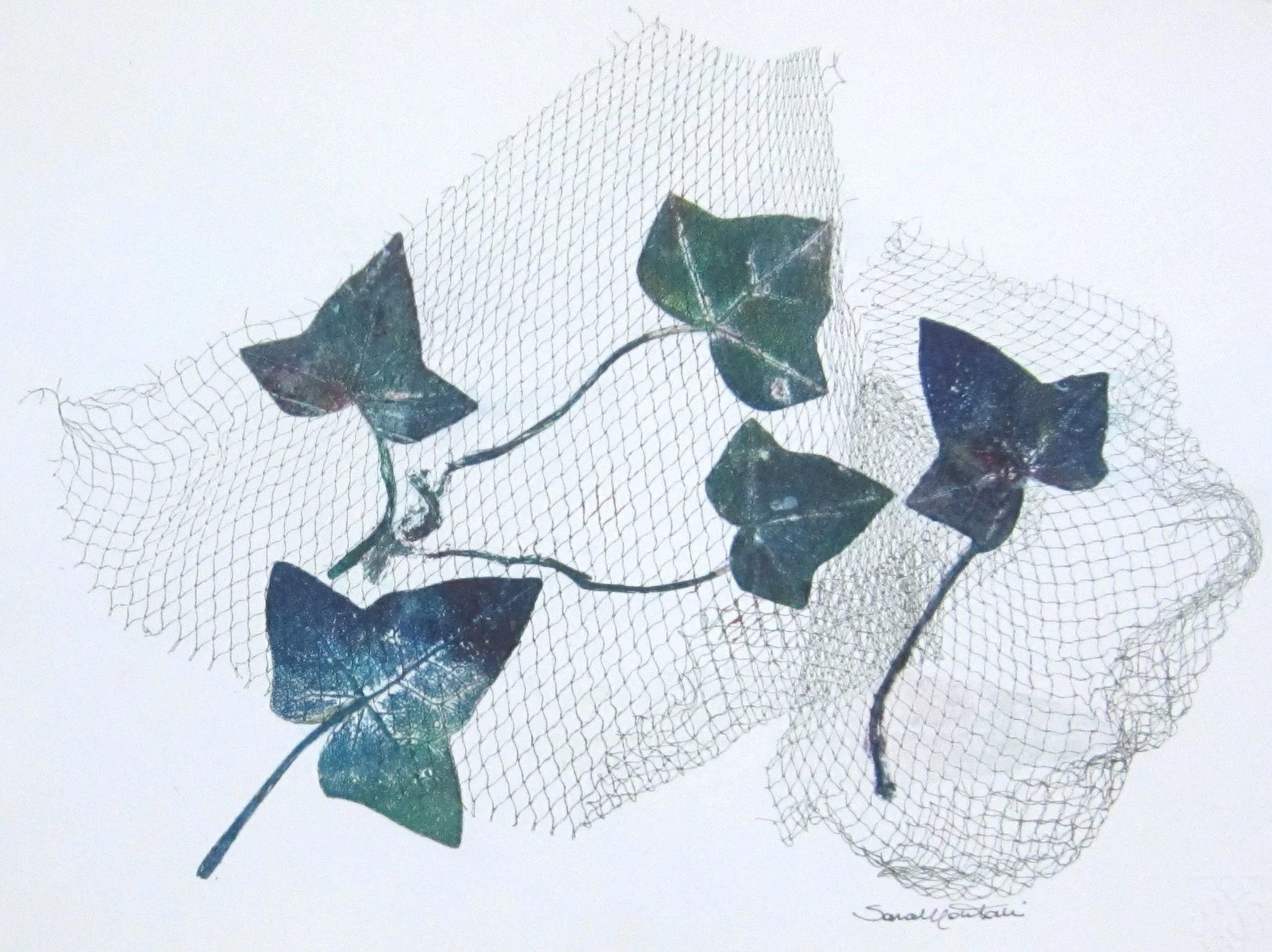 foglia 107.JPG
