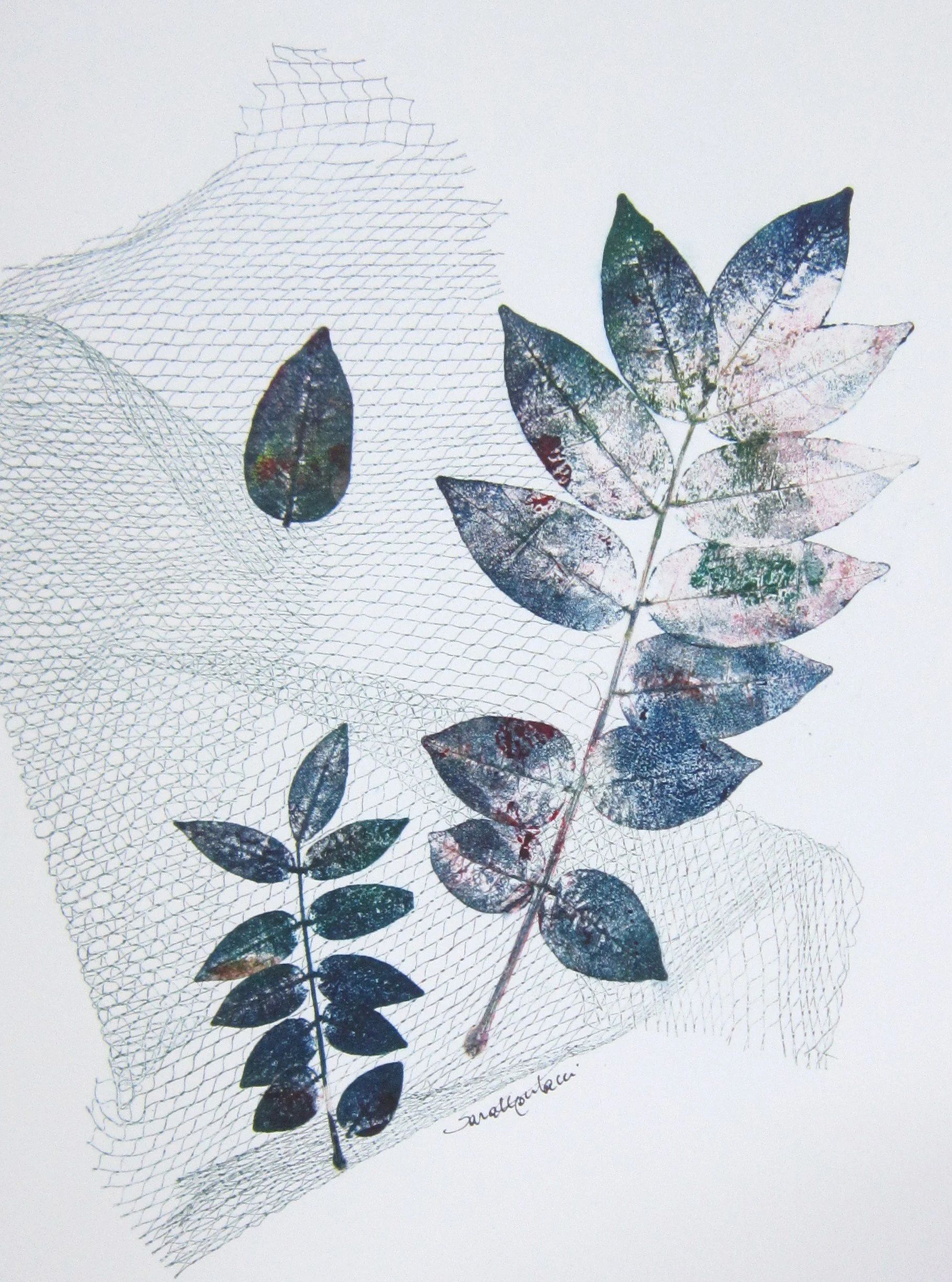 foglia 113.JPG