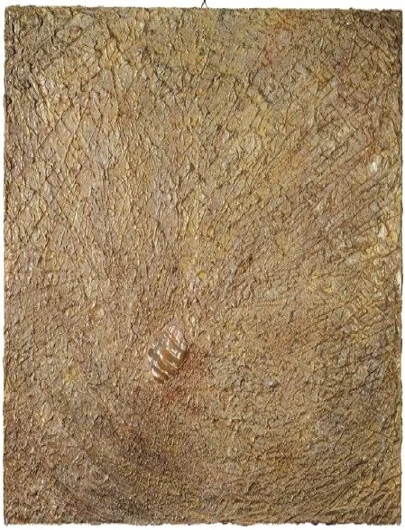 Madreperla 1994