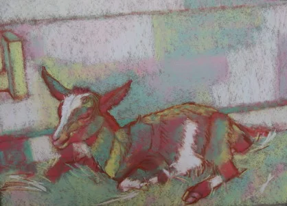 Pink and Green Baby Goat Pescadero.