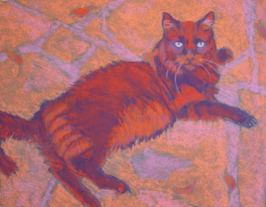 Cat on Stone Patio.