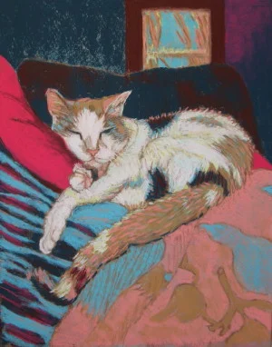 Spotty on Pillows