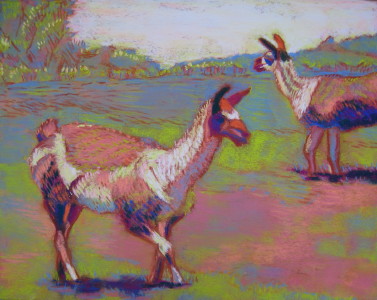Llama Garden One