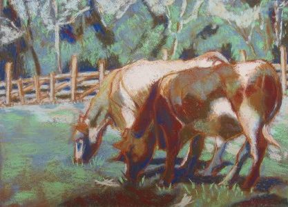 Brown and White Cows.