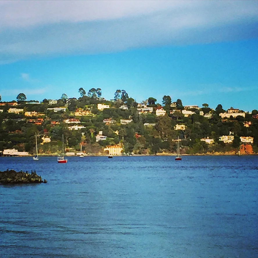 sausalito.JPG