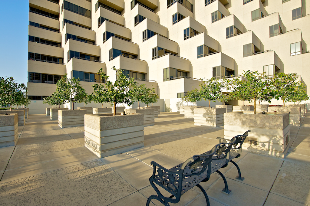 BLDG TERRACE.jpg