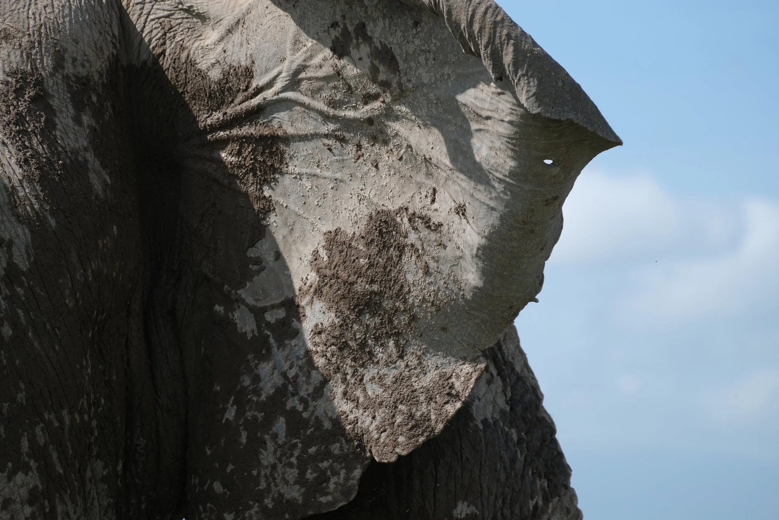DSCF4978.JPG