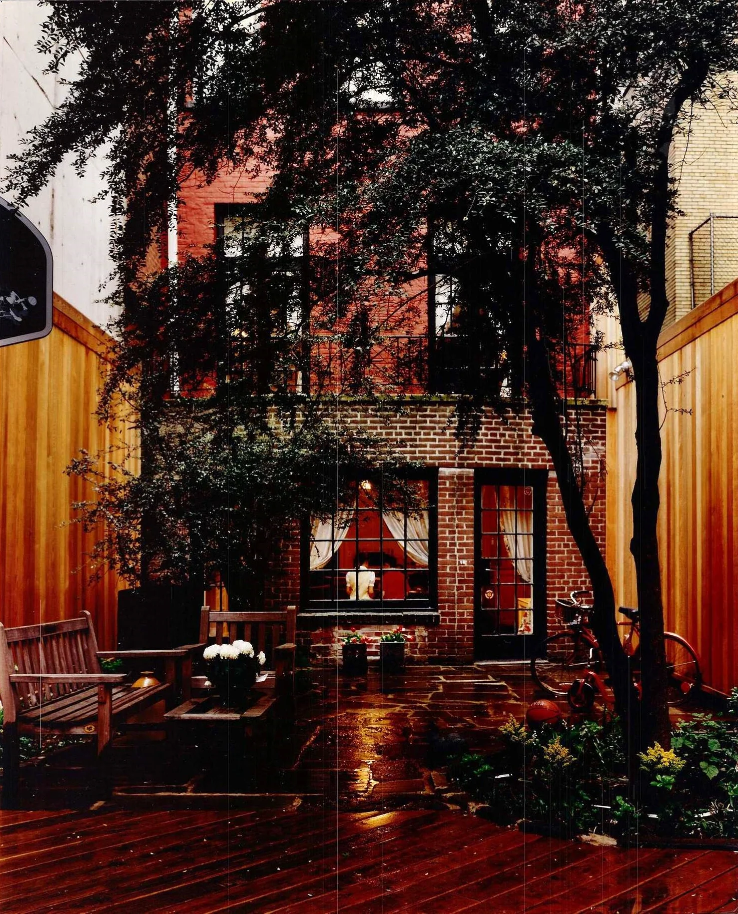 Yard.JPG
