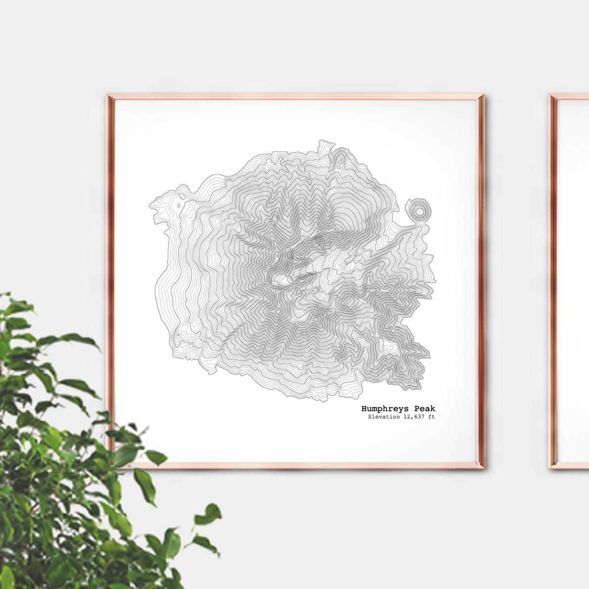 mt humphrys peak.jpg