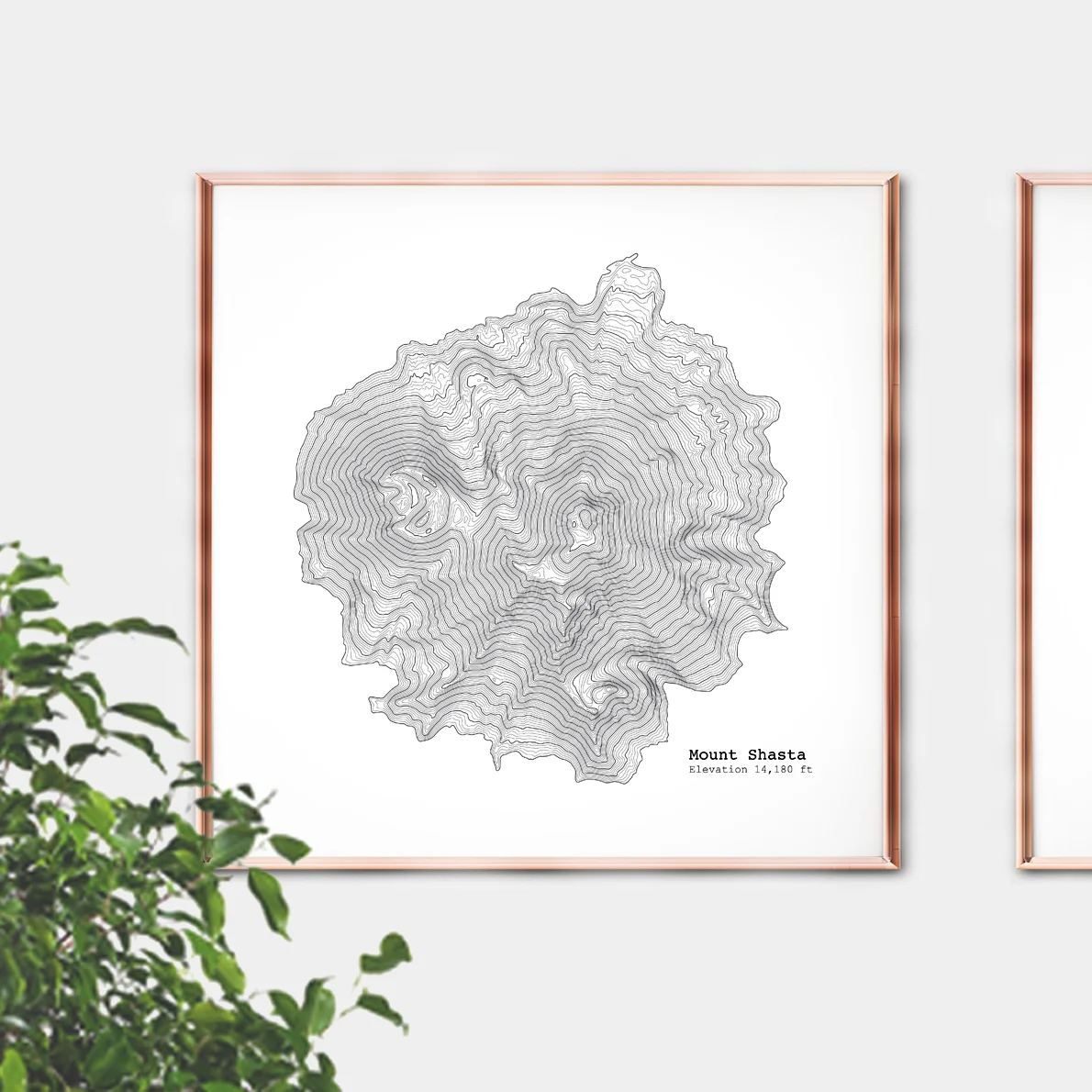 mt shasta framed 3.jpg