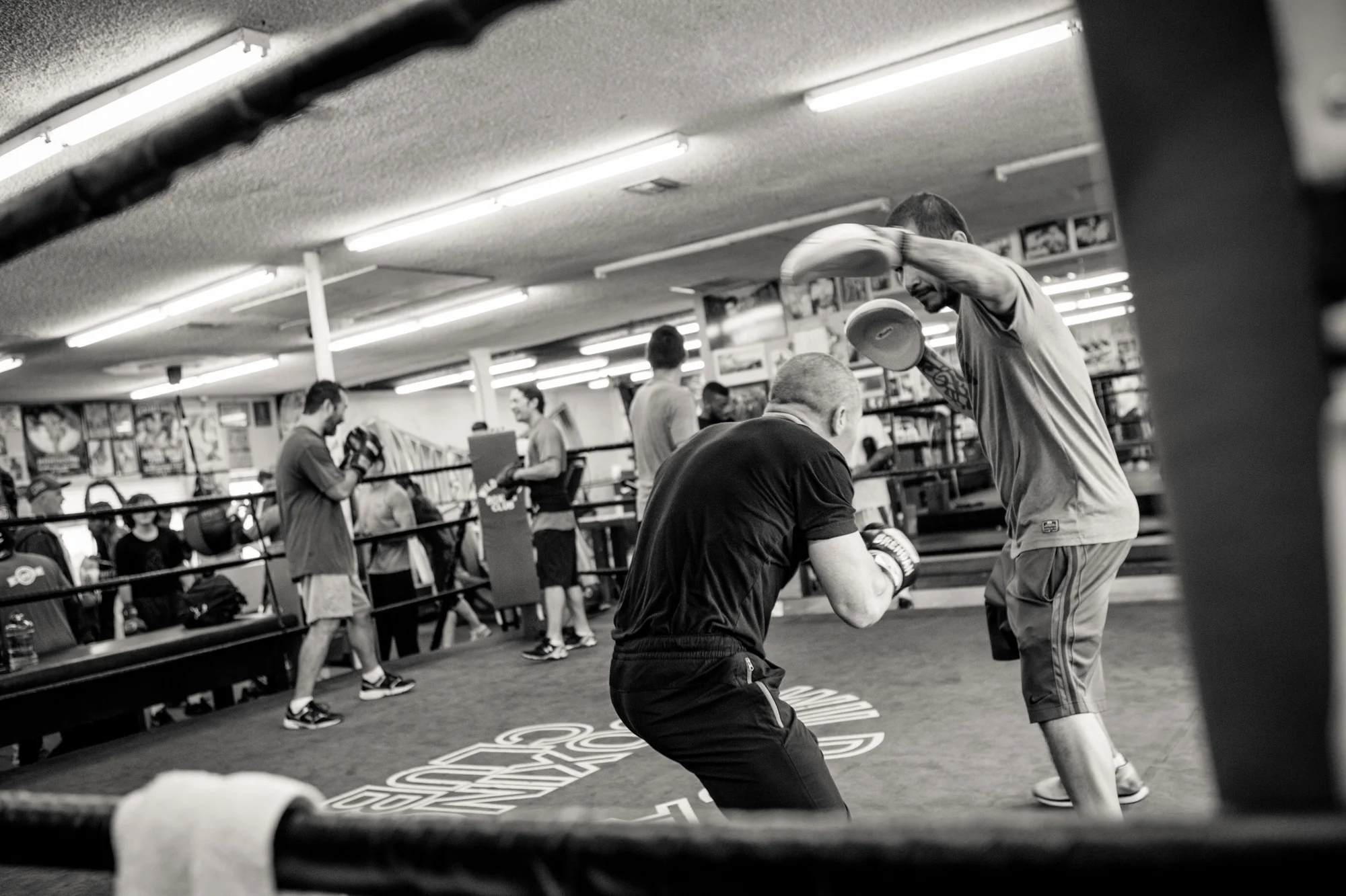 bk_brendanorielly_20150321-802.jpg