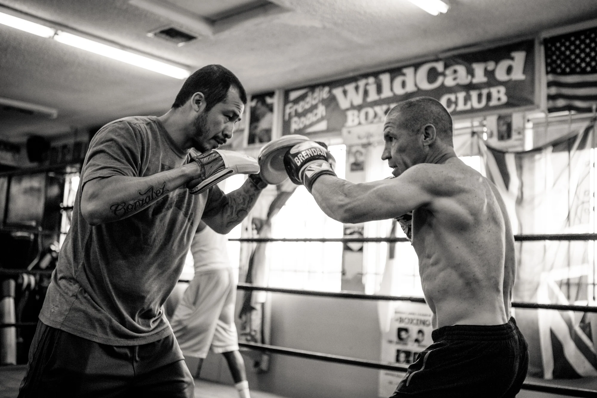 bk_brendanorielly_20150321-982.jpg