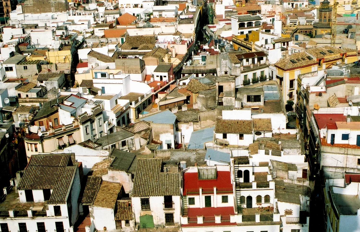 Rooftop