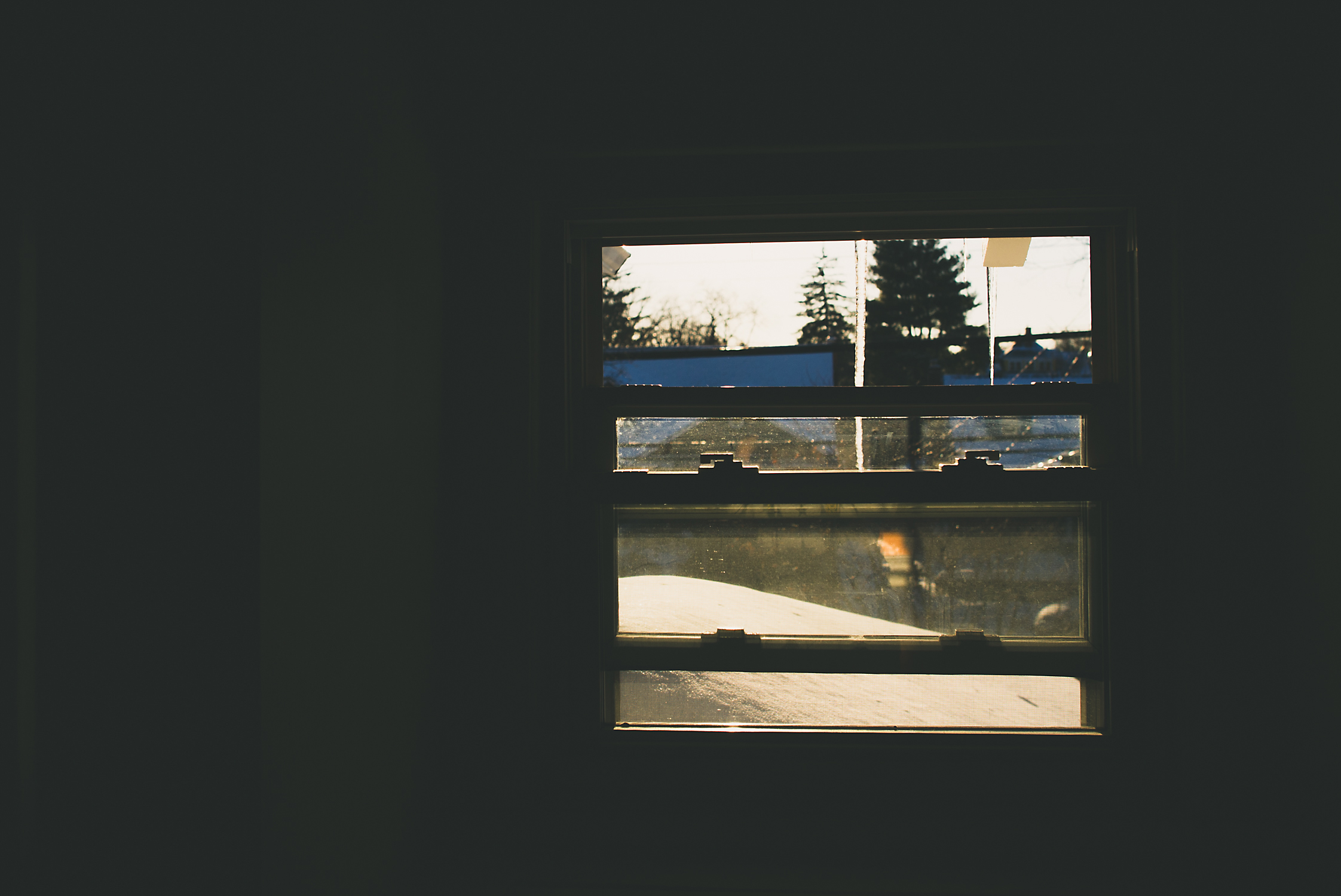icicles-2.jpg