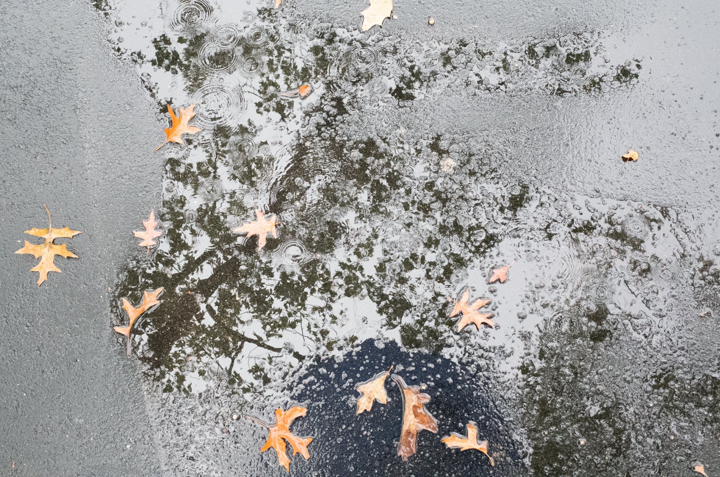 My walking tour, in the pouring rain of my childhood will never, ever leave me.