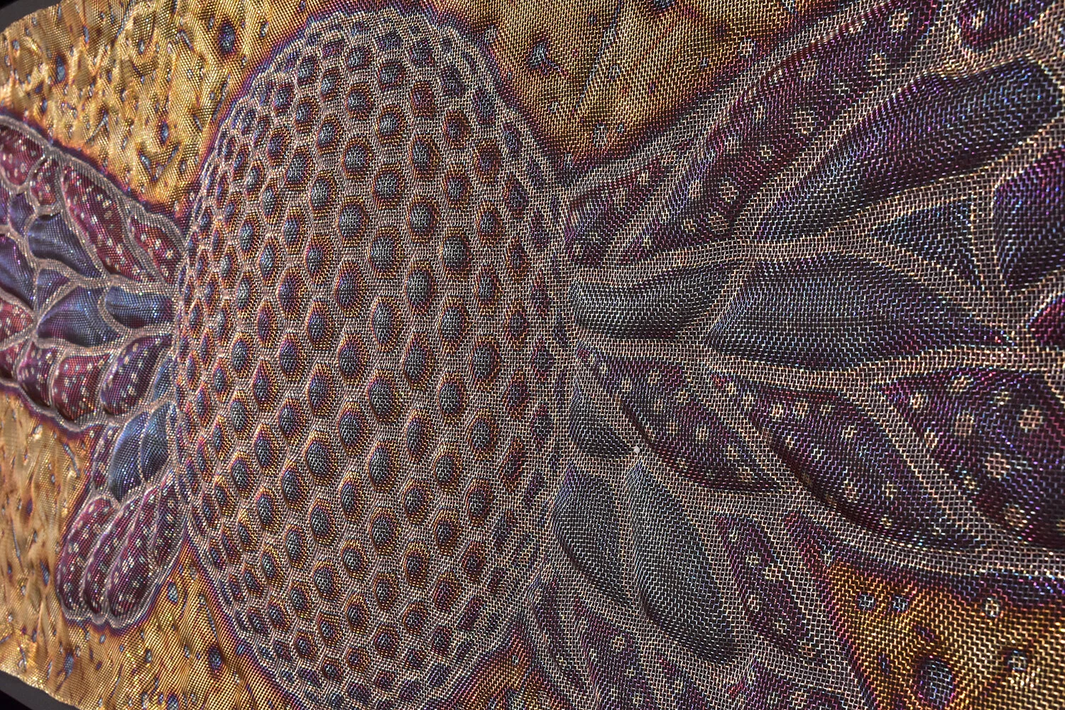 Winged Hive (detail)