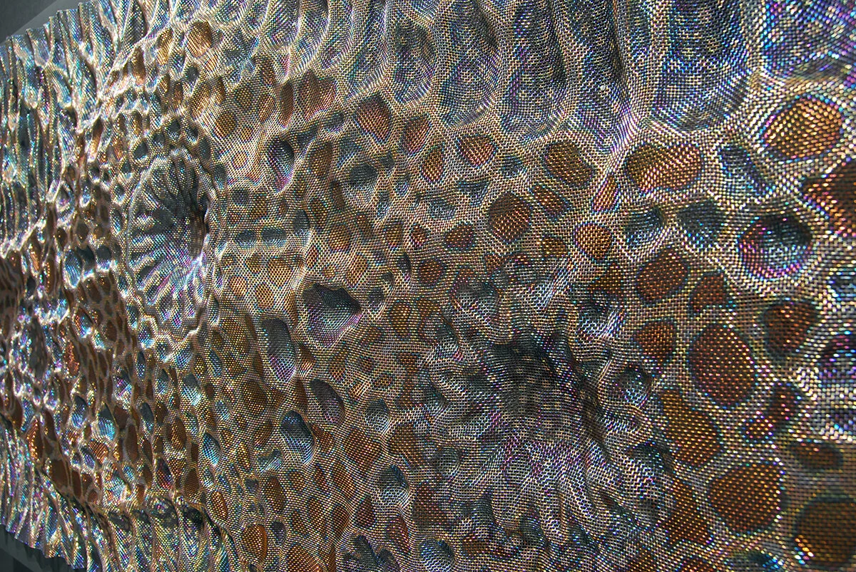 Tofani #2 (detail)