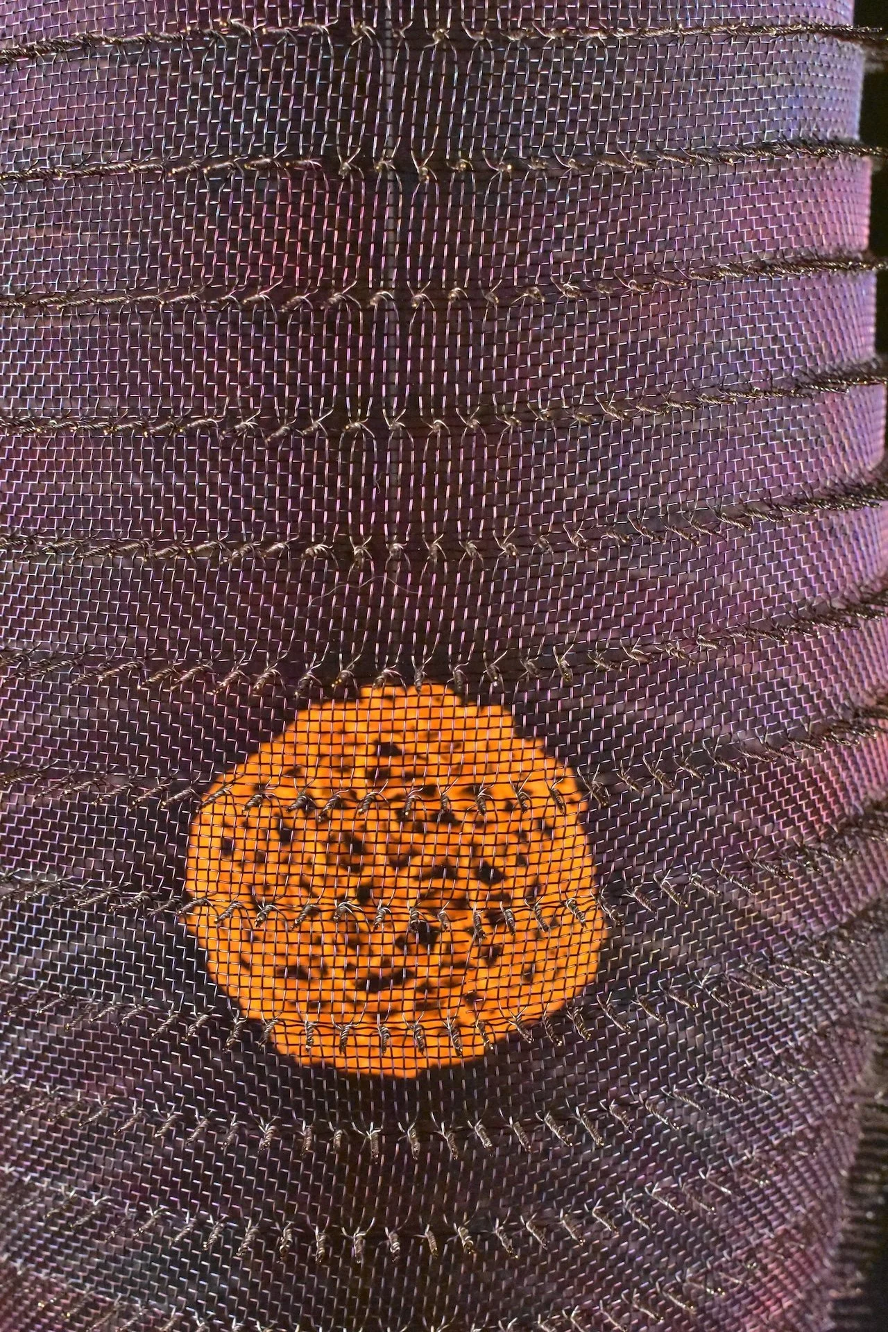 Nature’s Inner Glow