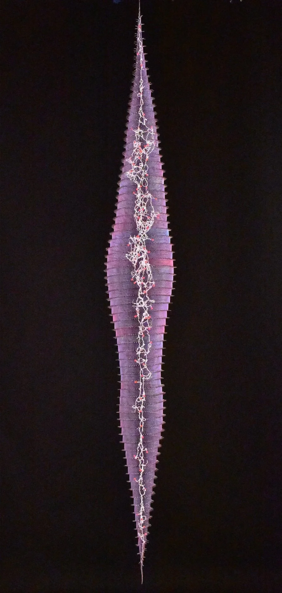 35z_Microbiota #2 copy.jpeg