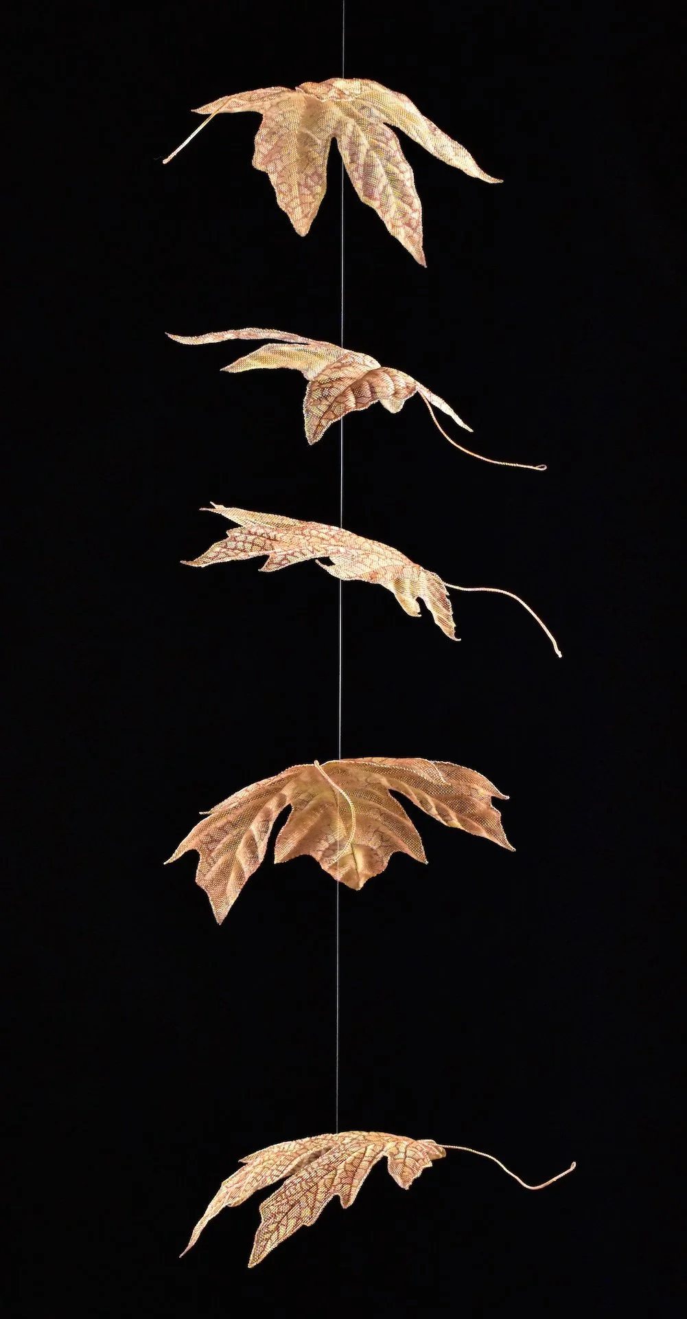  Cascading Maple Leaves