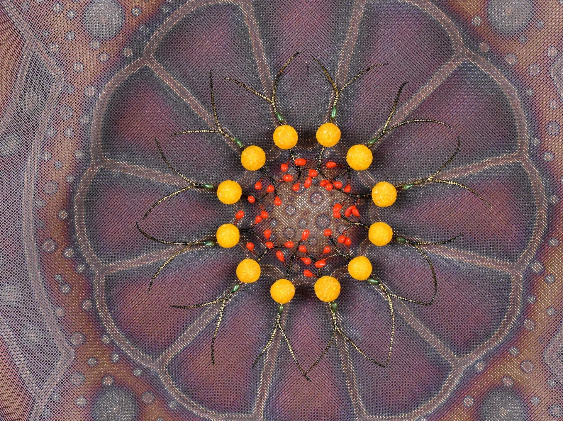 1_Asta Mécanique_d copy 2.jpeg