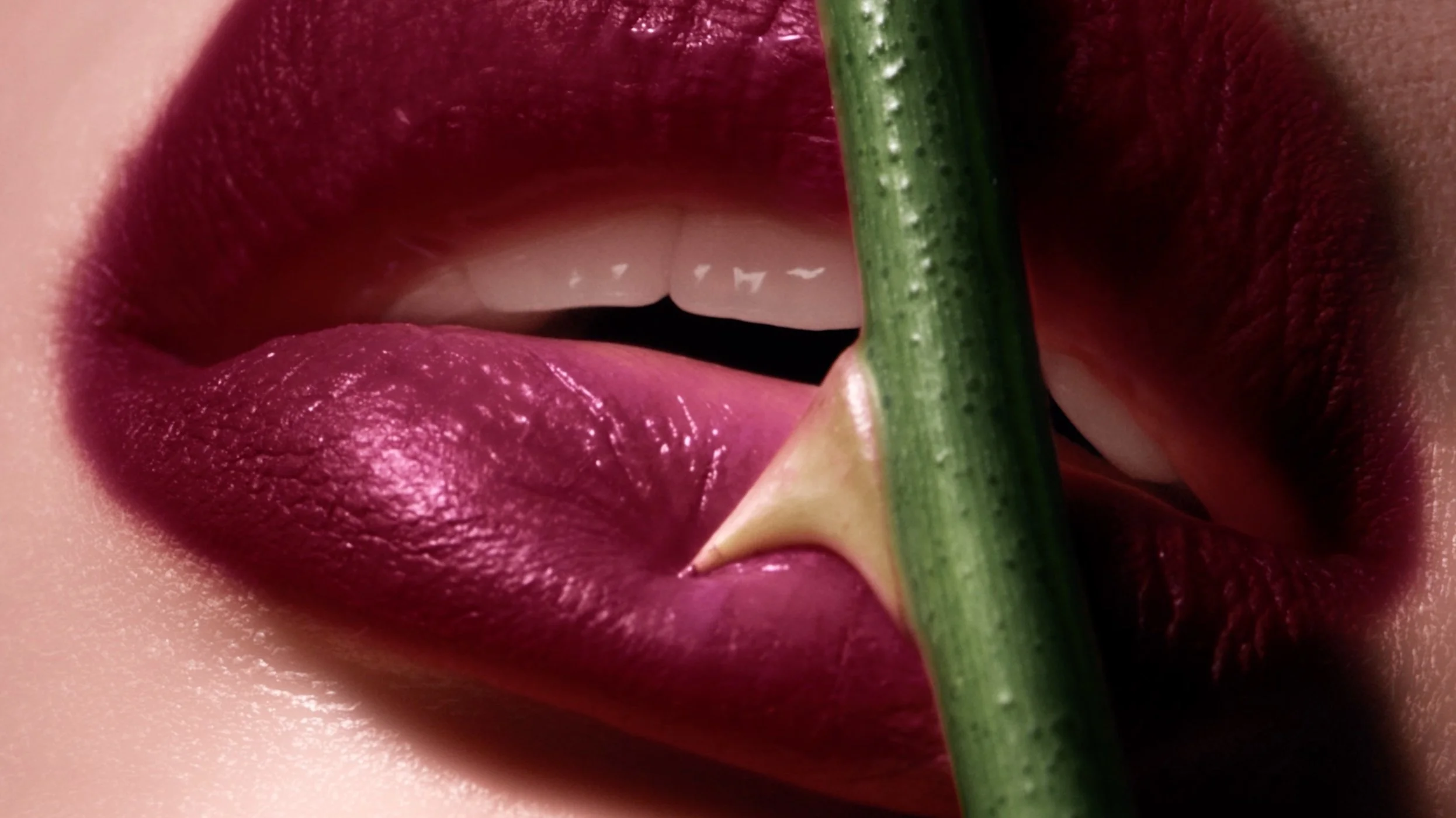 Tom Ford - Private Rose Garden