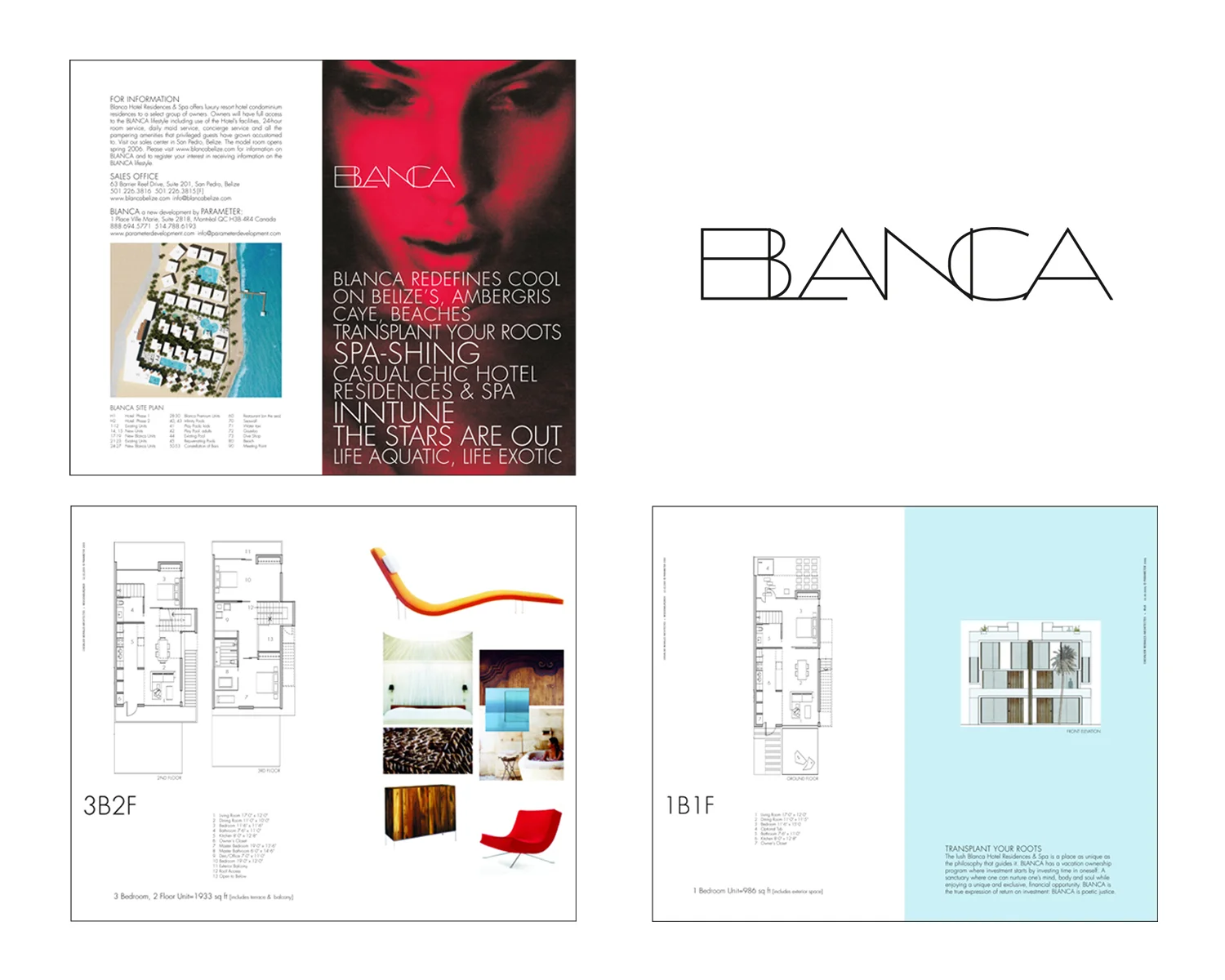 identity: logo, collateral