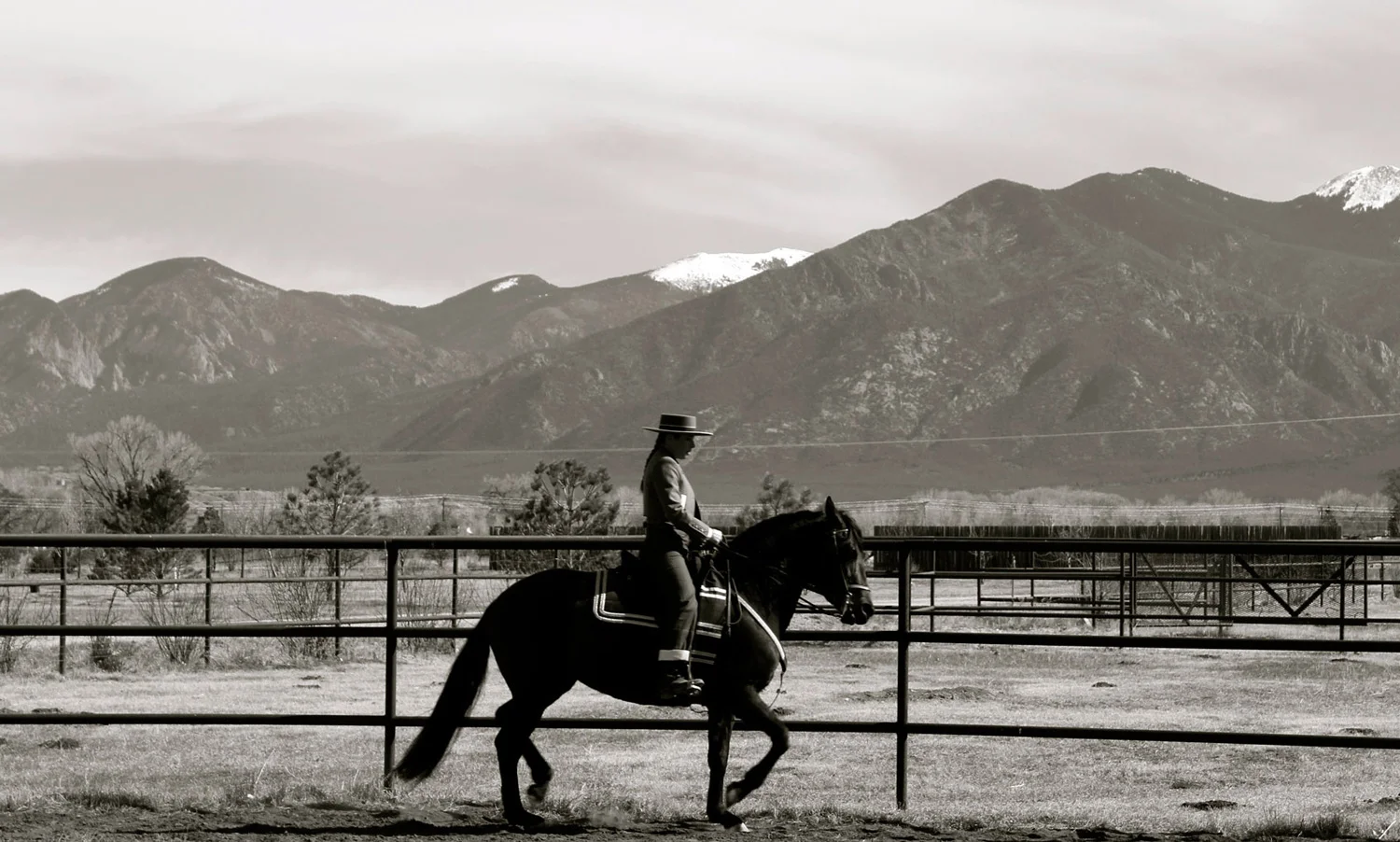 horse tango