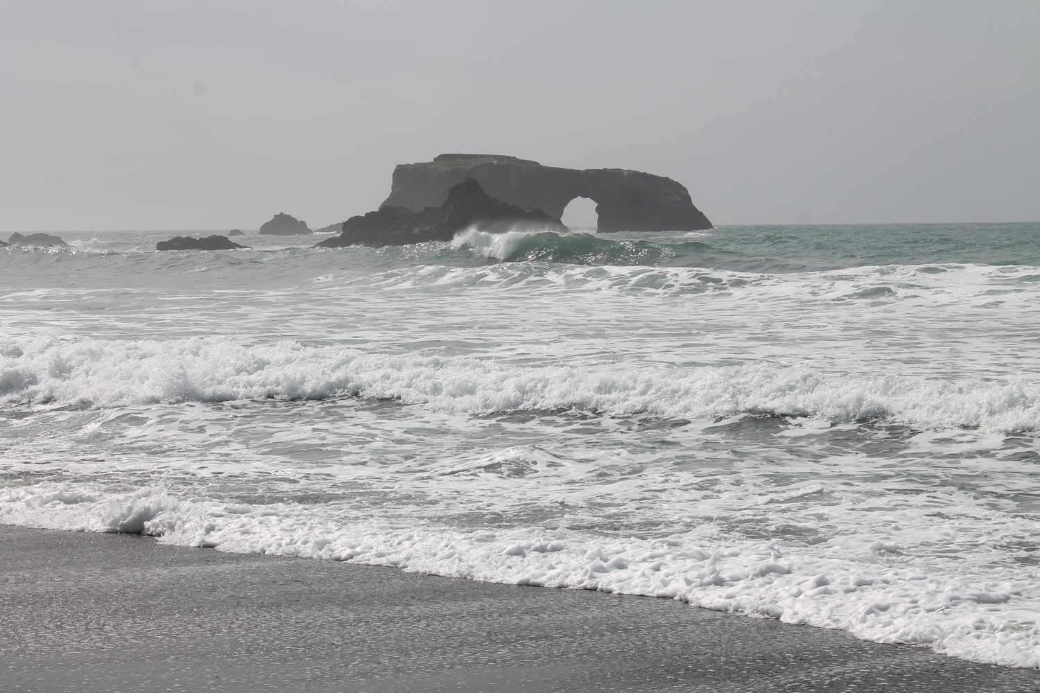 Northern Coast, California (Copy)