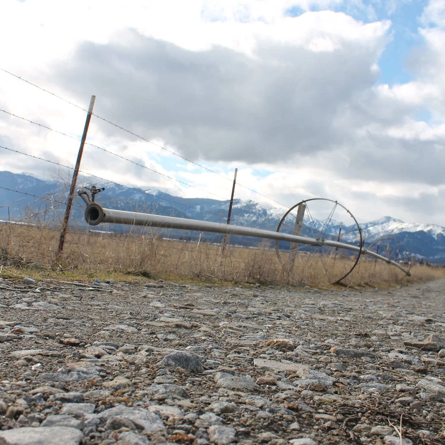 Northern California (Copy)