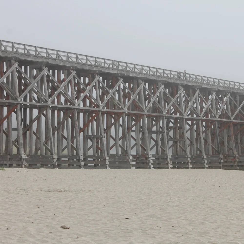 Pudding Creek, Ca (Copy)