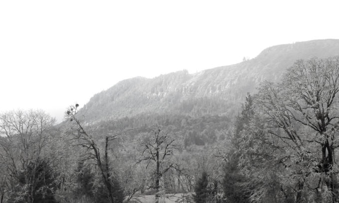 Oregon Bluffs