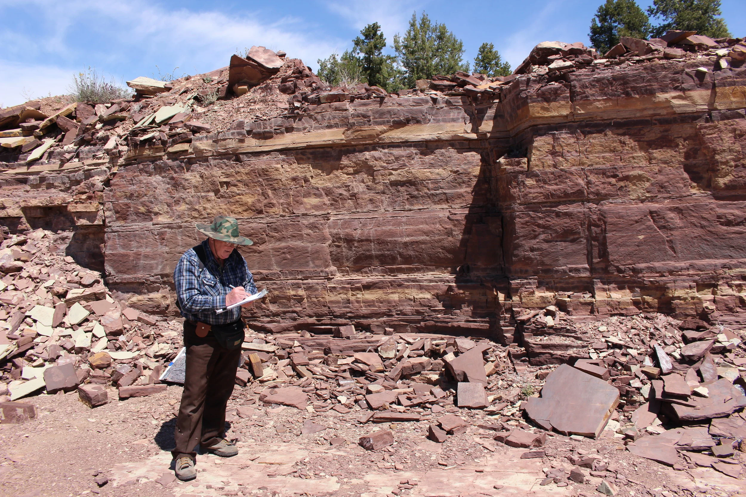 Geophysical Survey Methods - Petralogix Engineering, Inc.