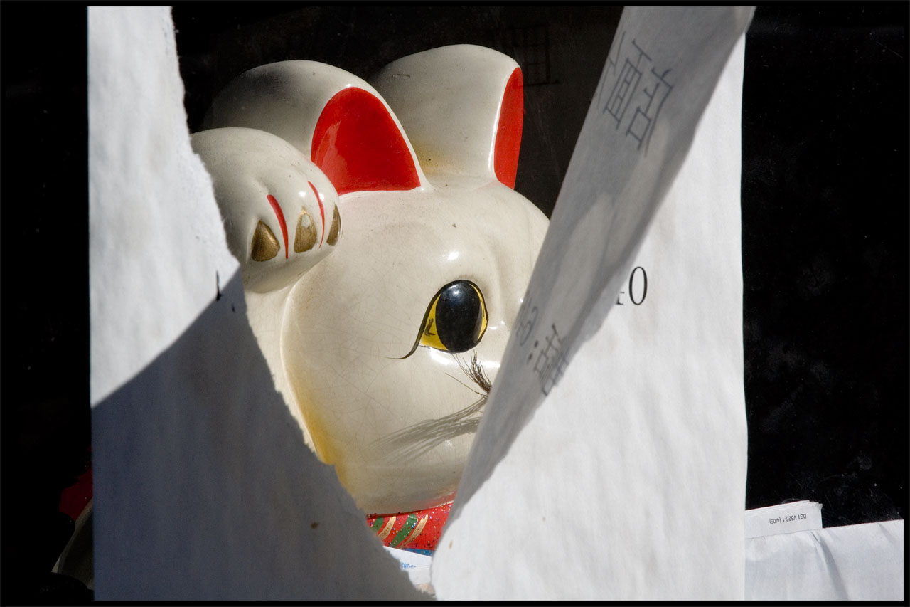 Papercat